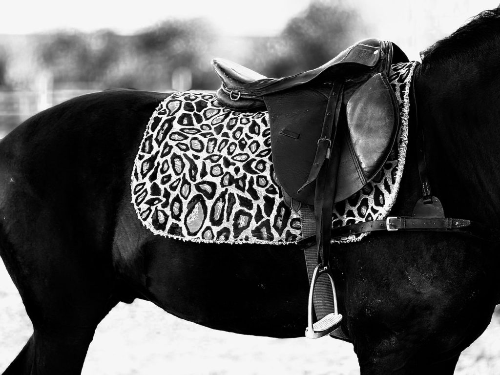 Tapis de selle bien ajusté sous une selle de cheval
